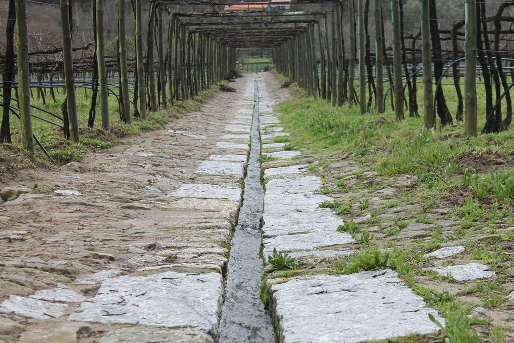 Quinta Da Eira Do Sol Villa กิมาไรส์ ภายนอก รูปภาพ