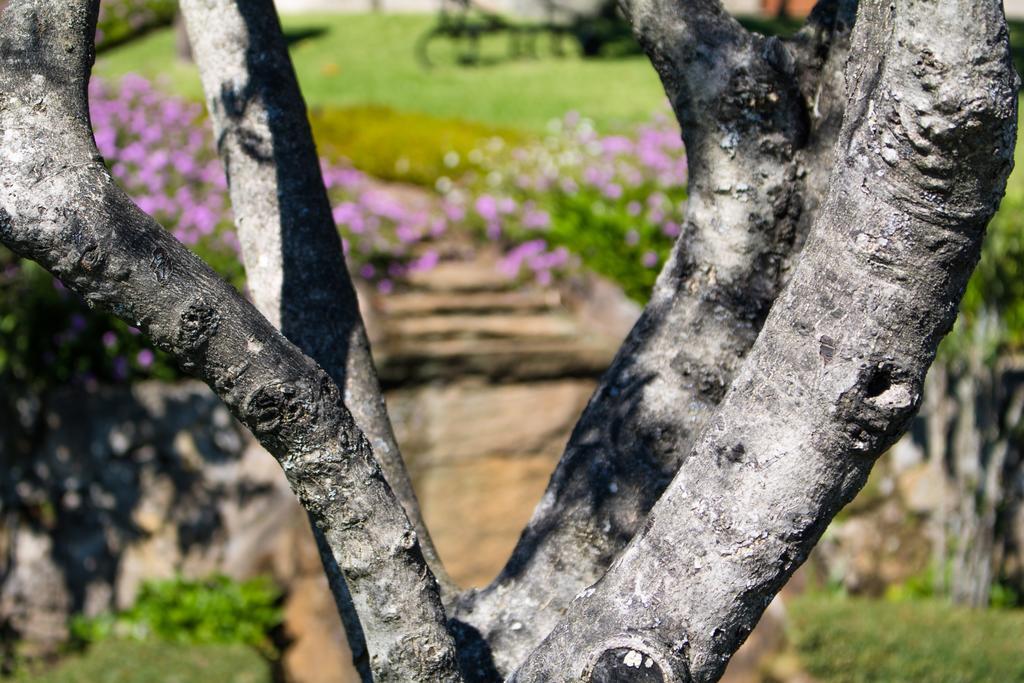 Quinta Da Eira Do Sol Villa กิมาไรส์ ภายนอก รูปภาพ